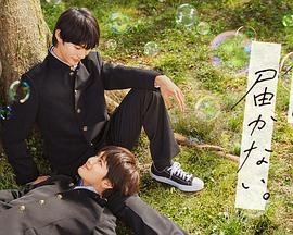 亚洲国产精品成人久久综合